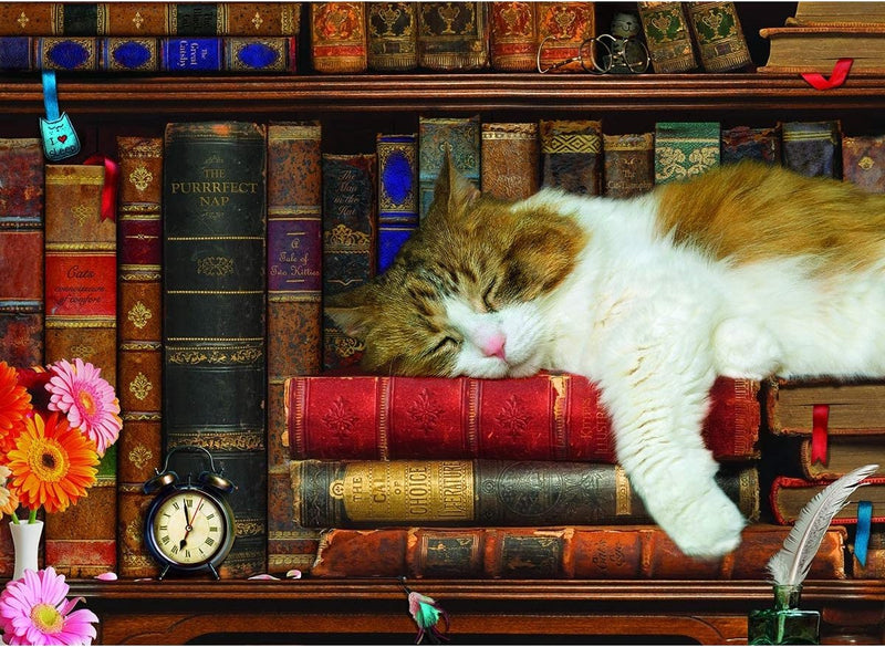 Eurographics - la siesta del gato - 500 piezas xl 68×48cm (ancho×alto) - rompecabezas familiar