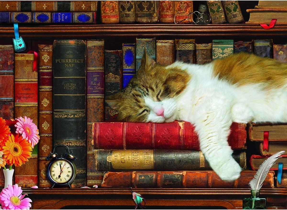 Eurographics - the cat nap - 500 pezzi xl 68×48 cm (l×a) - puzzle per famiglie