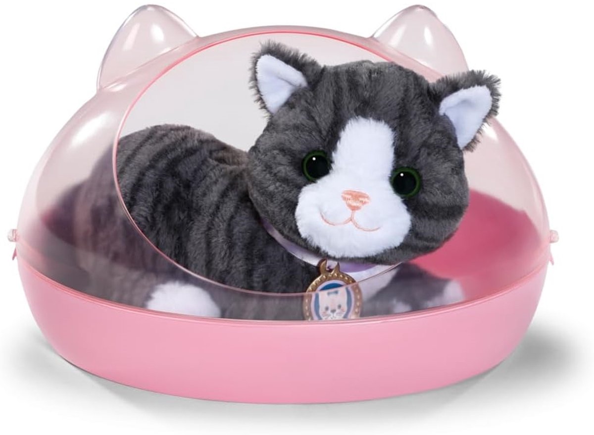 Bebé nacido mi galleta de gato con caja