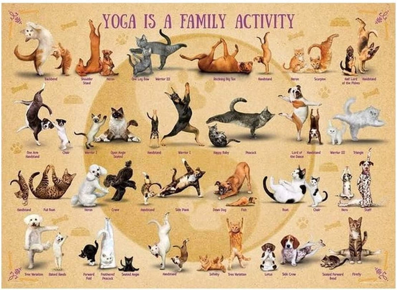 Eurographics puzzle yoga es una actividad familiar - 500 piezas