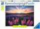 Ravensburger Puzzle Lupini - Puzzle - 500 pezzi