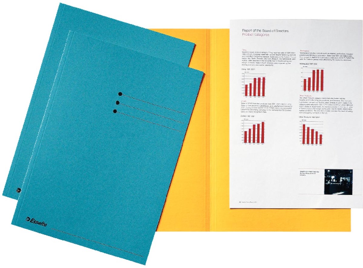 Esselte cardboard insert blue