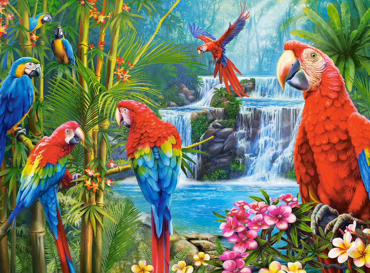 Castorland puzzel parrot meeting - 2000 stukjes legpuzzel.