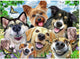 RAVENSBURGER JIGSAW puzzle Canci allegri, 1000st.