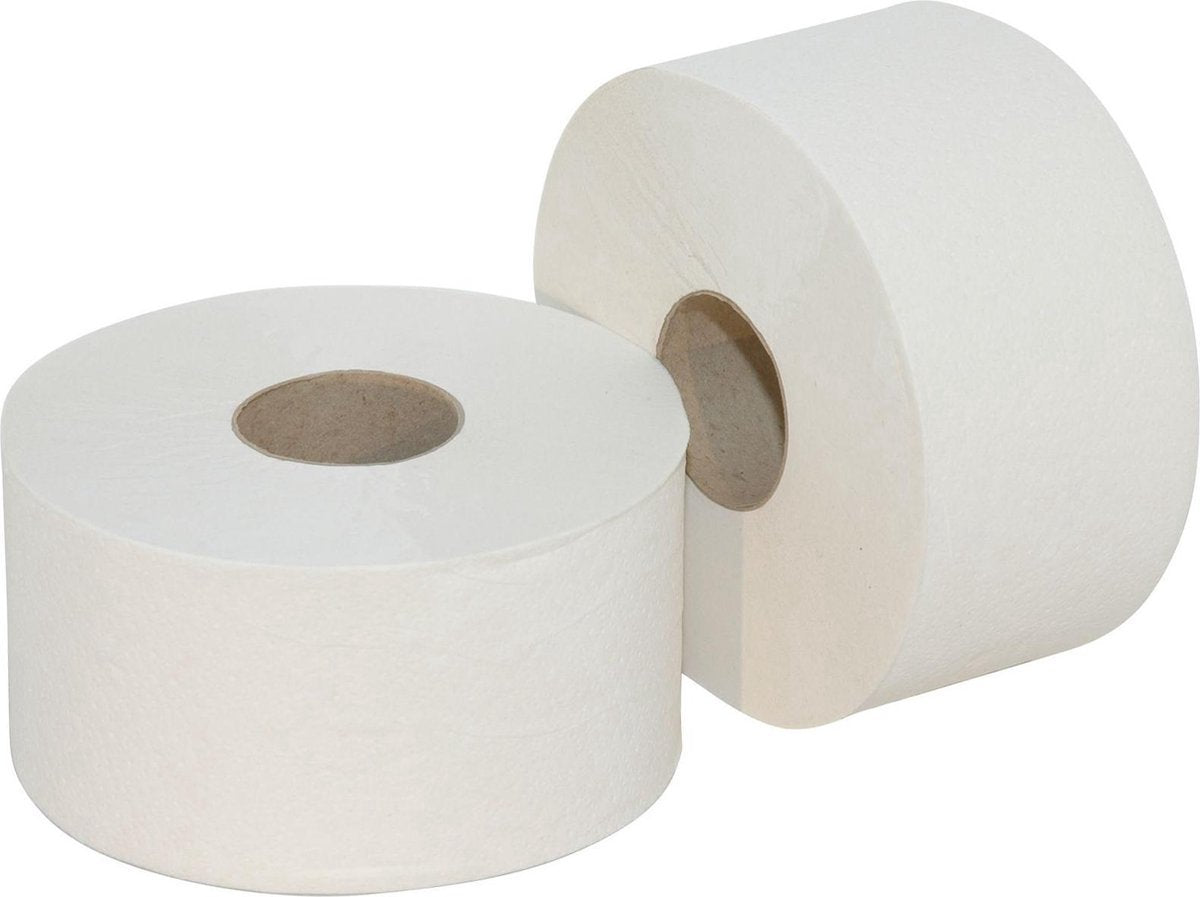 Papernet toiletpapier special mini jumbo 2-laags 557 vellen pak van 12 rollen