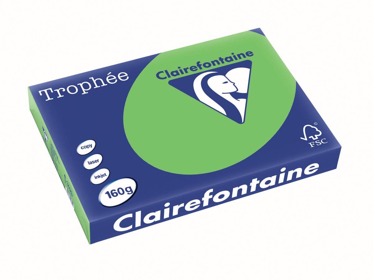 Clairefontaine trophée intens | gekleurd papier | a3 | 160 g | 250 vel | grasgroen
