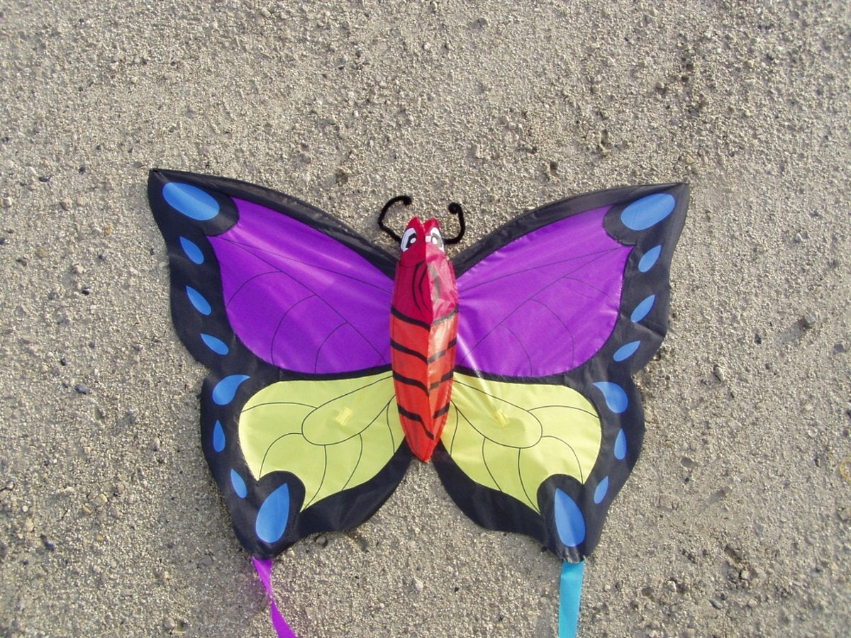 Didak aquilone da spiaggia pinky winky - 52x73 cm