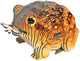 Eugy 3d puzzel - woestijnpad - wilde dieren - duurzaam - verzamel ze allemaal - 6 jaar