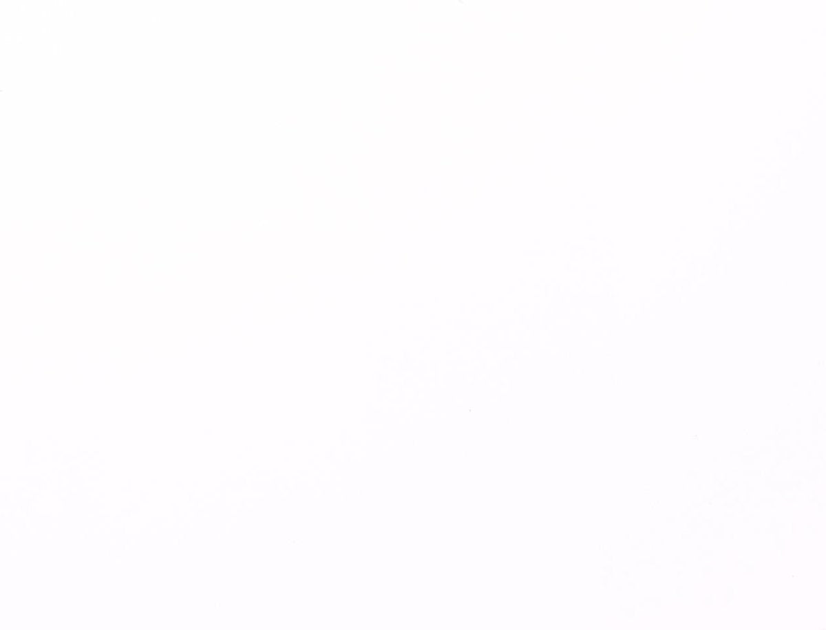 Vaessen creative florence karton - white smooth - 305x305mm - gladde textuur - 216g