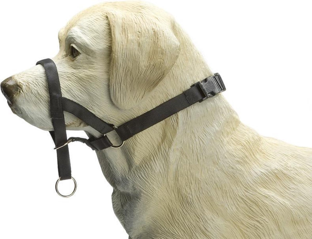 Controllo cani Beeztees - collare per cani - nero - s
