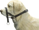 Controllo cani Beeztees - collare per cani - nero - s