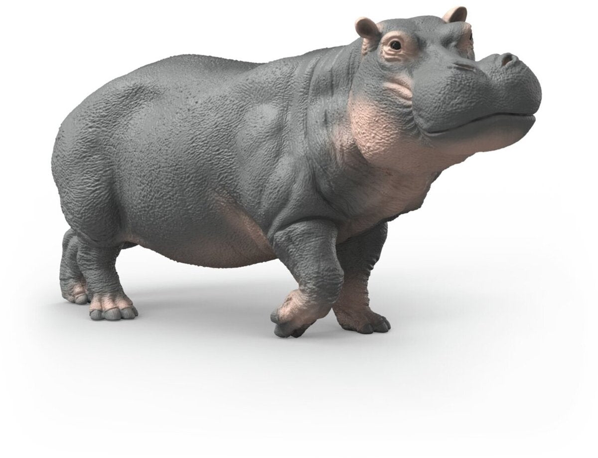 Schleich personaggio da gioco ippopotamo vita selvaggia in plastica realistica 14938.