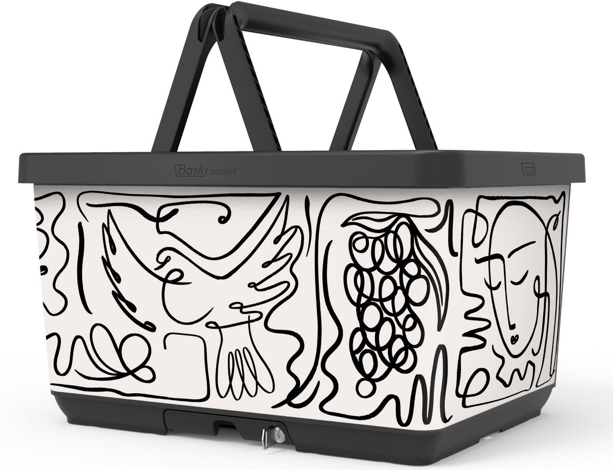 Basky Baskcle Basket 2.0 Picasso