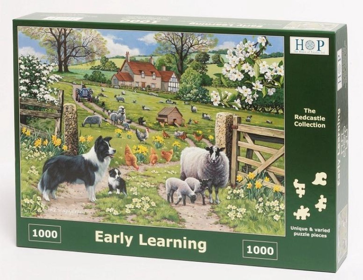 House of puzzles legpuzzel - 1000 stukjes - early learning - house of puzzels