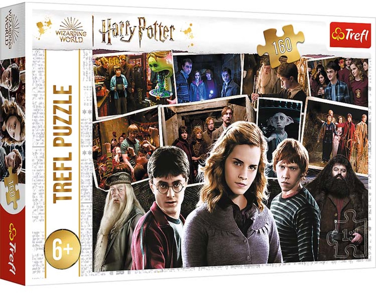 Trefl 160 - Harry Potter e i suoi amici Harry Potter