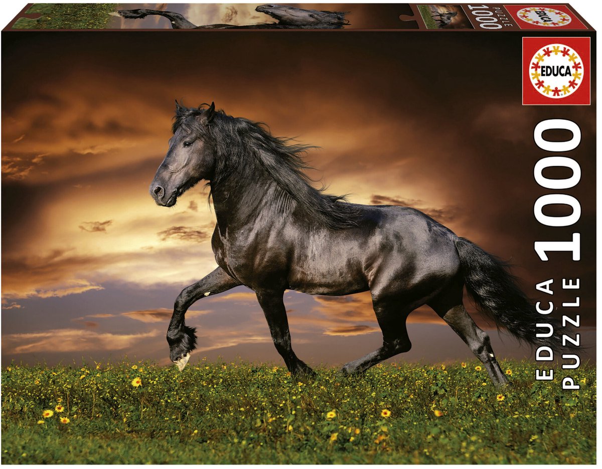 Educa - puzzel - 1000 stuks - paard