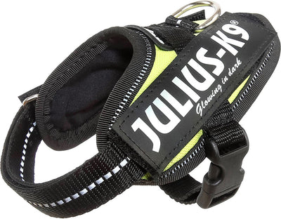 Julius k9 julius-k9 idc®power harness, 3xs - baby1, neon