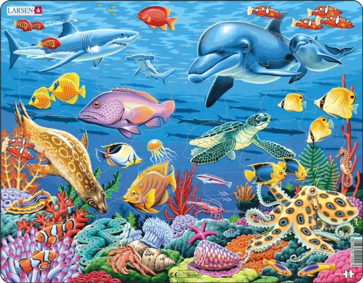 Selecta Larsen Pluzzle Animals - Coral reef, 35st.