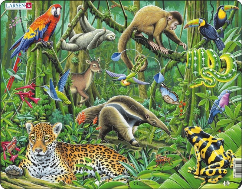 SelectA Larsen Line Puzzle Animals - Sud American Rainforest, 70 °.