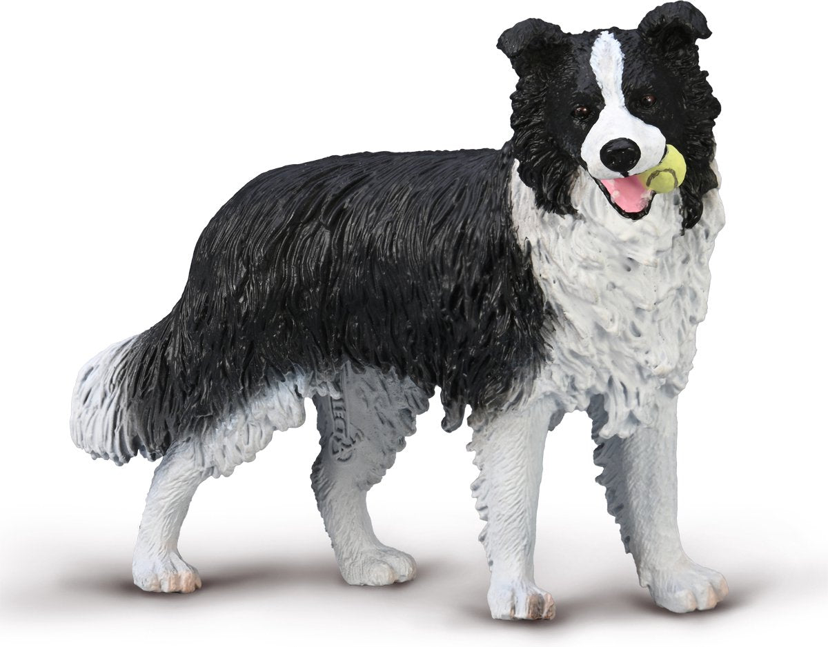Statuetta Collecta - border collie - (l) - cani - dipinta a mano - miniatura