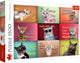 Trefl Puzzle Cats: divertidos rostros de gatos, rompecabezas de 1500 piezas.