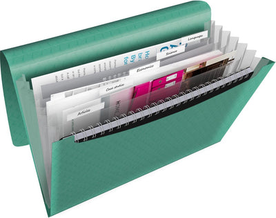 Cartella porta progetti espandibile A4 Esselte Colour'breeze - organizer con 5 schede e 6 scomparti - verde