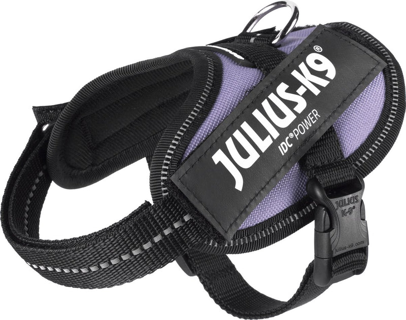 Julius k9 julius-k9 idc®powertuig, 2xs - baby2, paars