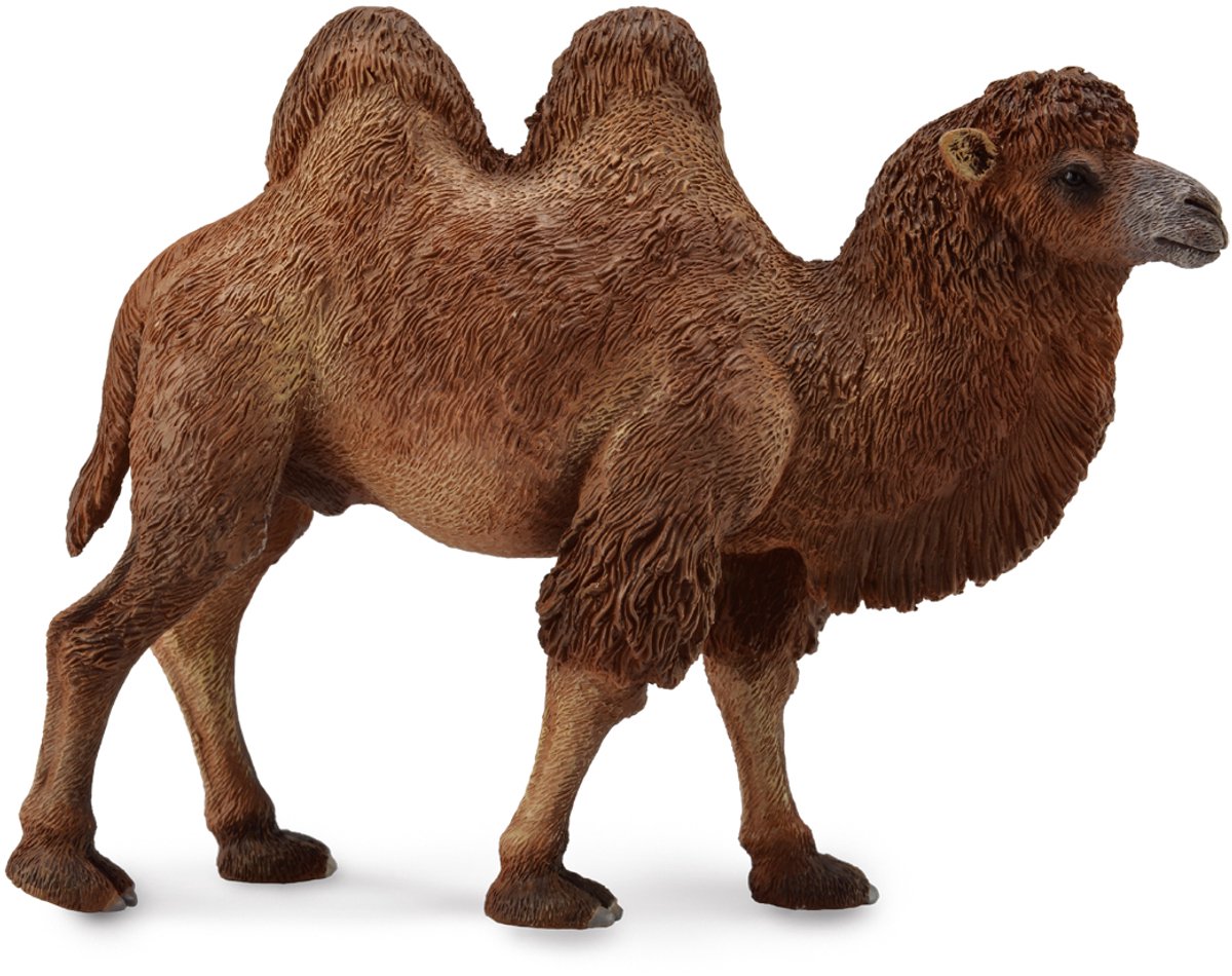 Statuetta Collecta - cammello - (l) - animali selvatici - dipinta a mano - miniatura