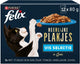 Felix Delicious Tranci - Cibo umido per gatti - Salmone - 12x80g