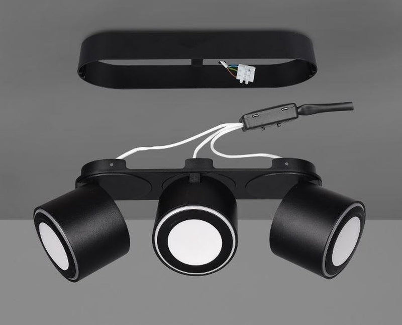 Lampada da soffitto Trio Leuchten Taurus - nera