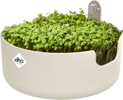 Elho magic microgreens 17 - kweekbak voor kiemgroenten - 100% gerecycled plastic - ø 16.8 x h 7.1 cm - linnen wit