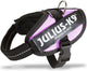 Julius k9 wereld bekende idc powertuig voor tekstlabels roze maat 1