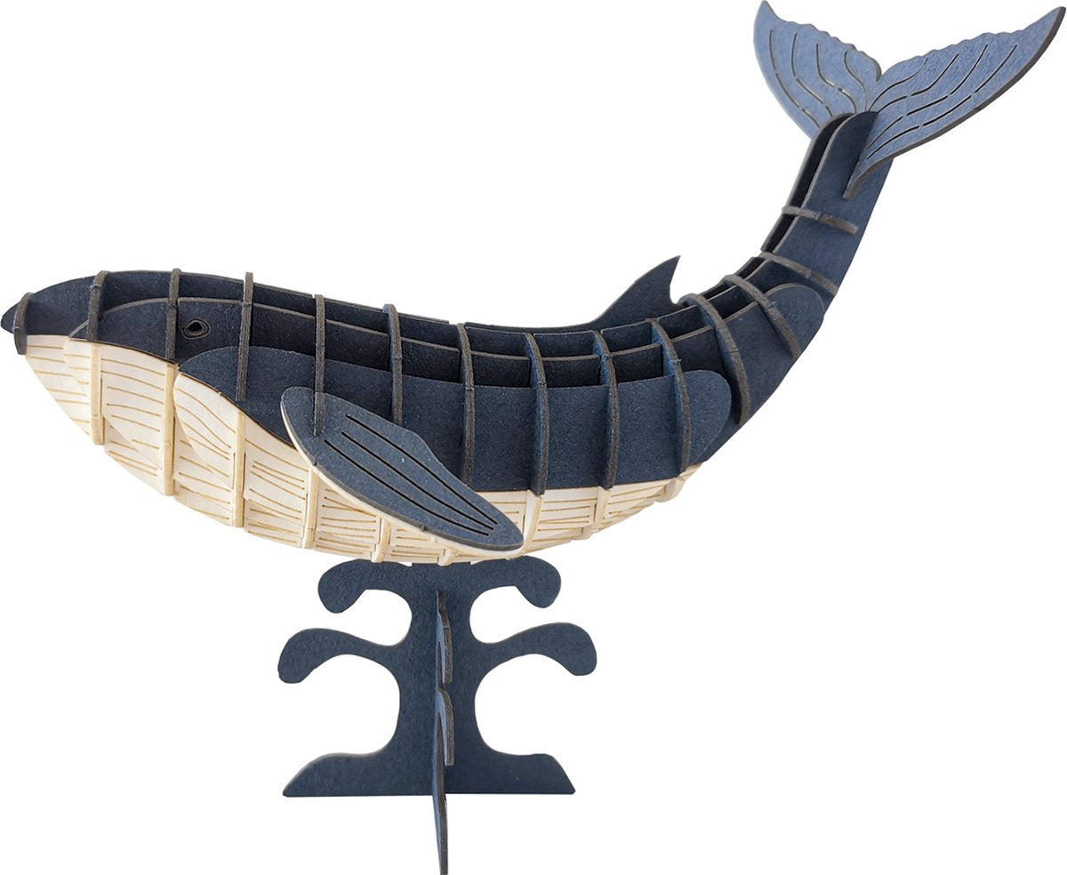Modello di carta 3D Fridolin - balenottera azzurra.