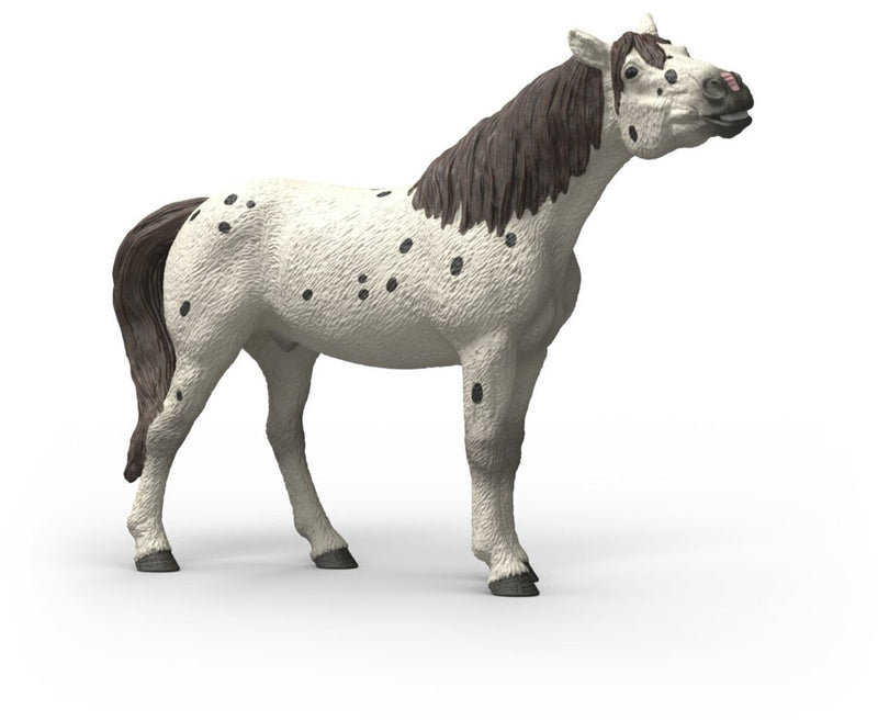 Schleich horse club knabstrupper castrone 14916