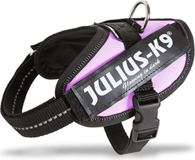 Julius k9