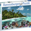 Ravensburger rompa una inmersión en las Maldivas, 2000.