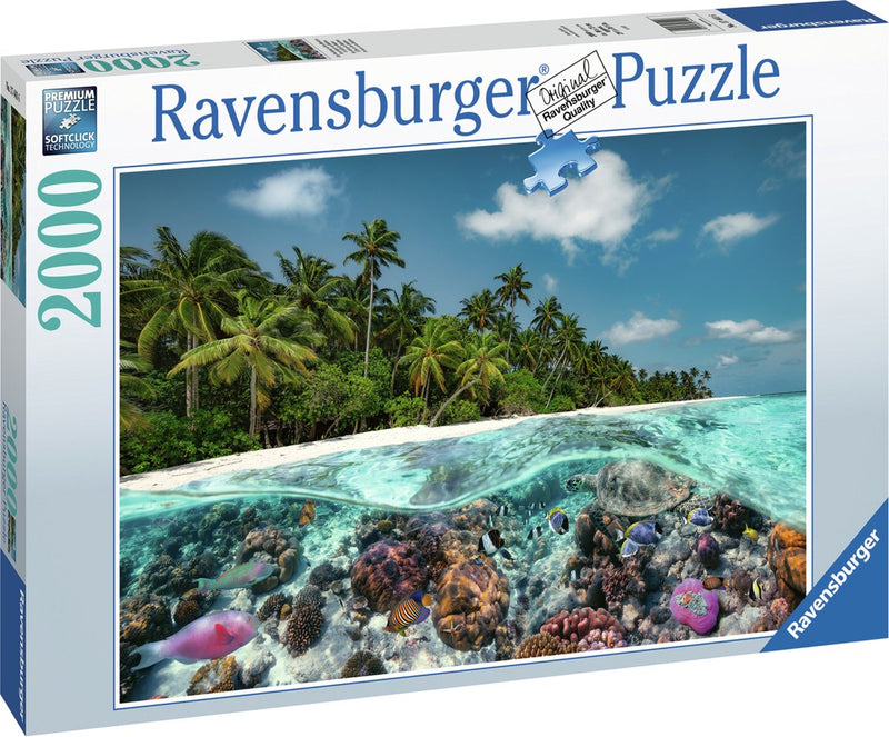 Ravensburger rompa una inmersión en las Maldivas, 2000.