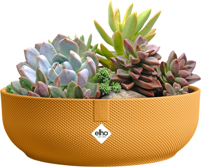 Elho jazz bowl 28 - maceta de interior - 100% plástico reciclado - ø 27,5 x h 9,0 cm - amarillo ámbar