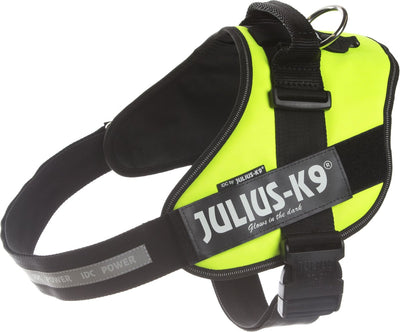 Giulio k9
