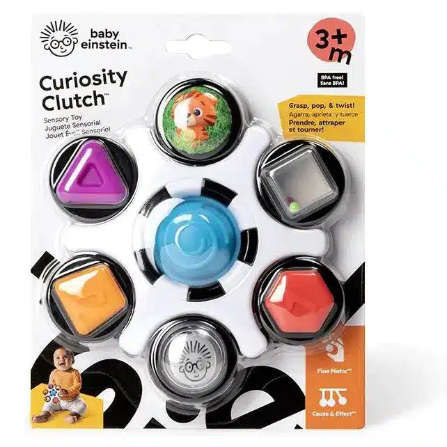 Curiosity clutch sensory toy