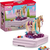Schleich Horse Club Horse Care Place 42617