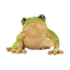 Schleich Wild Life European Tree Frog 14882