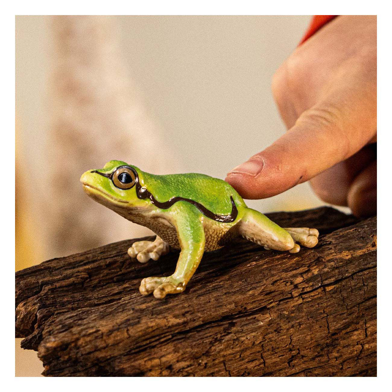Schleich Wild Life European Tree Frog 14882