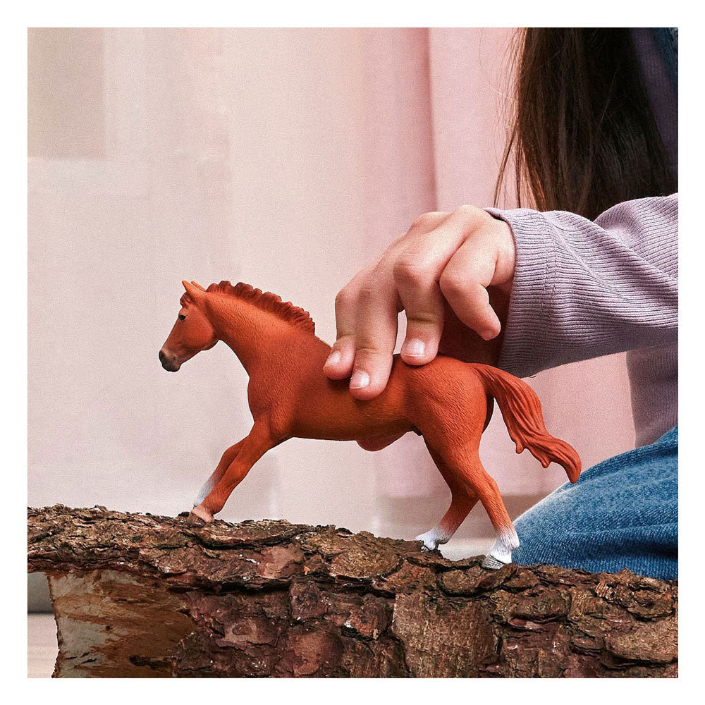 Schleich horse club stallone purosangue inglese 14915