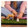Set de cuidado de emliy club de caballos Schleich 42797