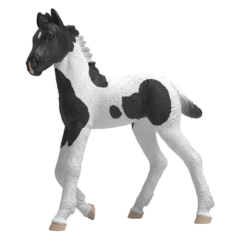 Schleich horse club verzamelbaar veulen rocky 81481