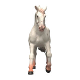 Schleich horse club knabstupper merrie 14917 - afbeelding 2