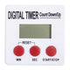 Timer Nisbets DF672 white non-disposable
