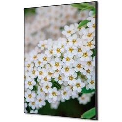 Decorazione murale tessile showdown tfr22wa2-set-i3 400 x 400 fiore bianco