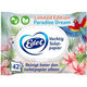 Carta igienica umida edet paradise dream 42 fogli
